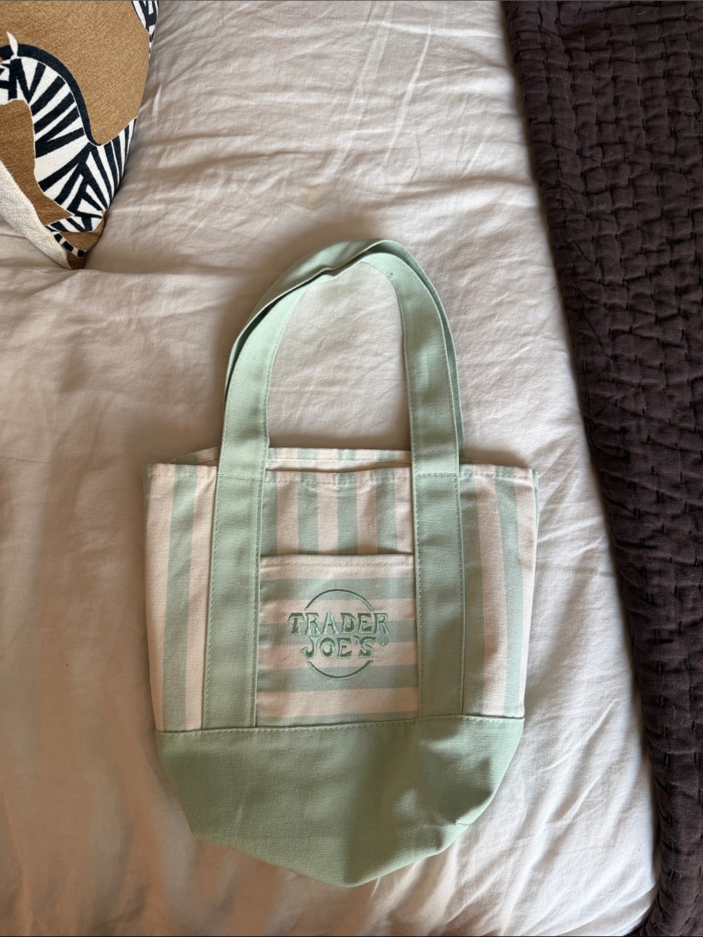 Mint Stripe Canvas Tote Bag